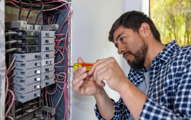 Best Ceiling Fan Installation Electrician  in Poplar Grove, IL